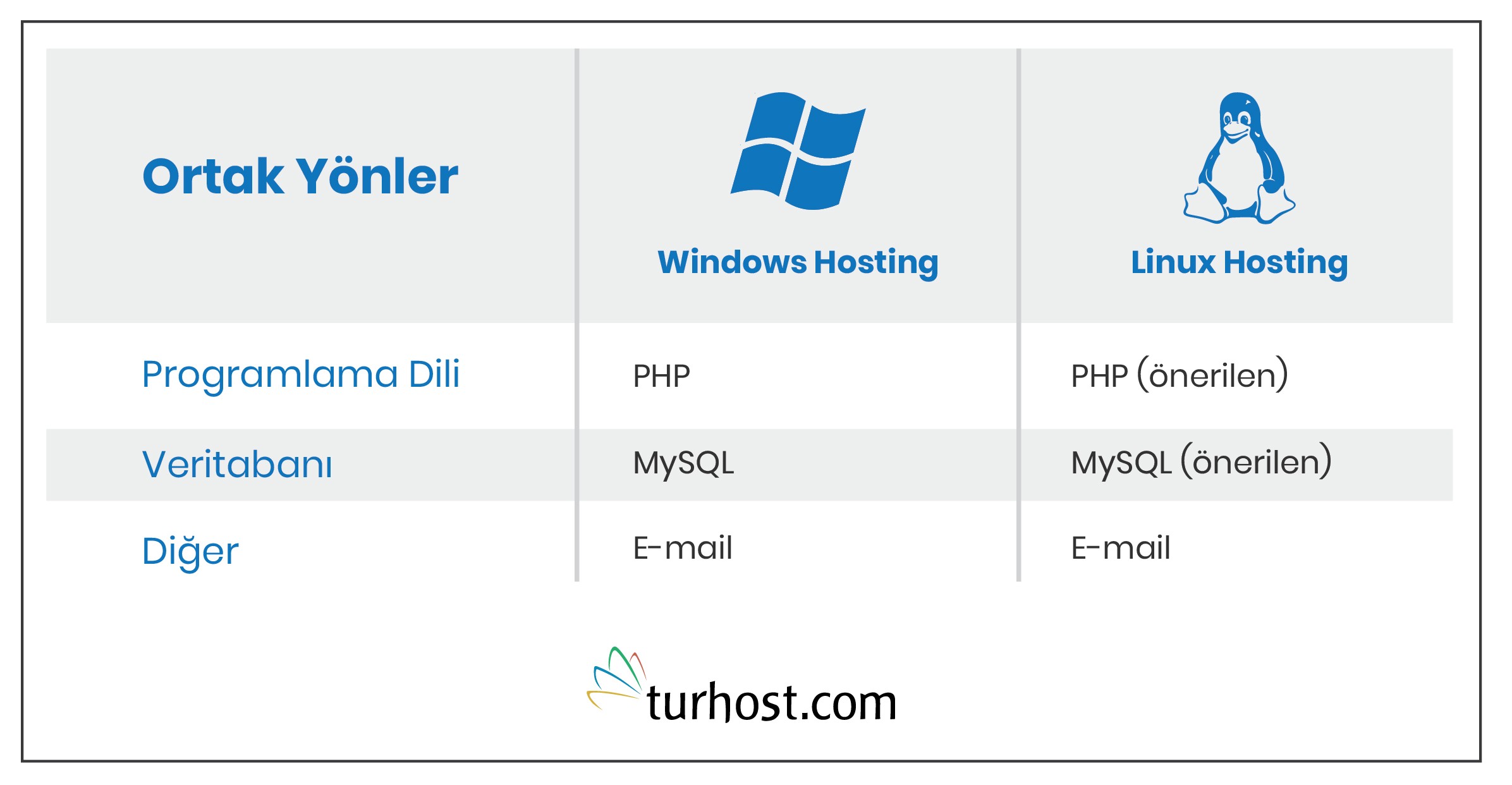 Windows hosting